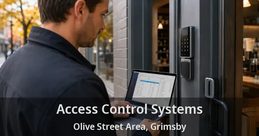 Access Control Systems Olive Street Area, Grimsby - ON