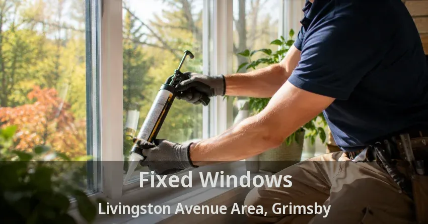 Fixed Windows Livingston Avenue Area, Grimsby - ON