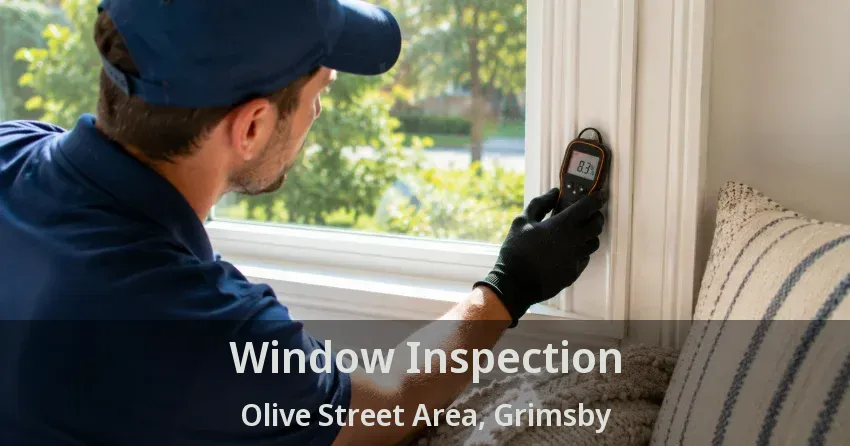 Window Inspection Olive Street Area, Grimsby - ON